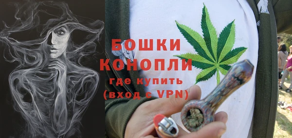 сатива Абдулино