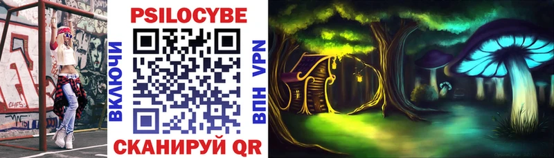 KRAKEN tor  Заволжье  Галлюциногенные грибы Cubensis 